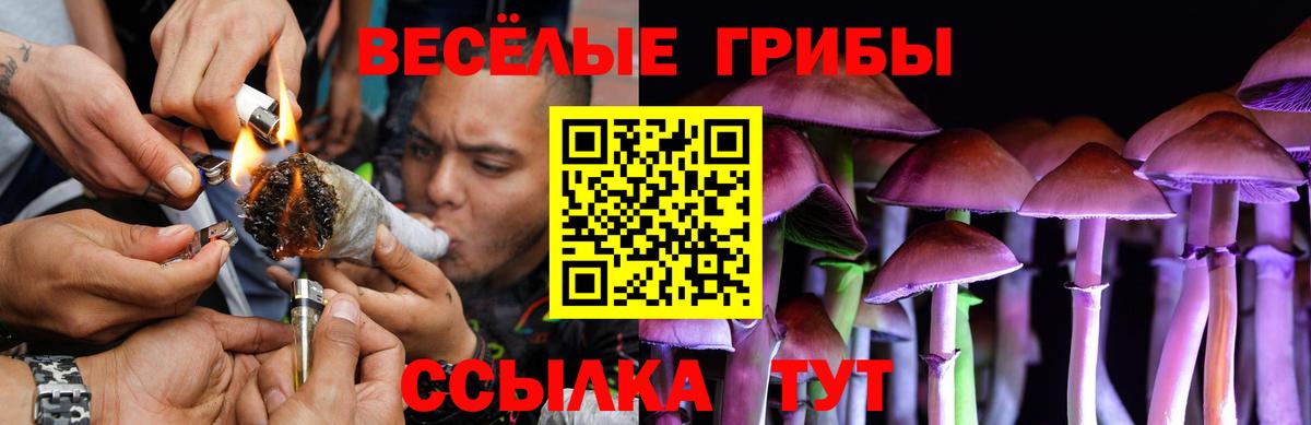 Волоколамск  дарнет шоп  Вход с VPN  Галлюциногенные грибы MAGIC MUSHROOMS 