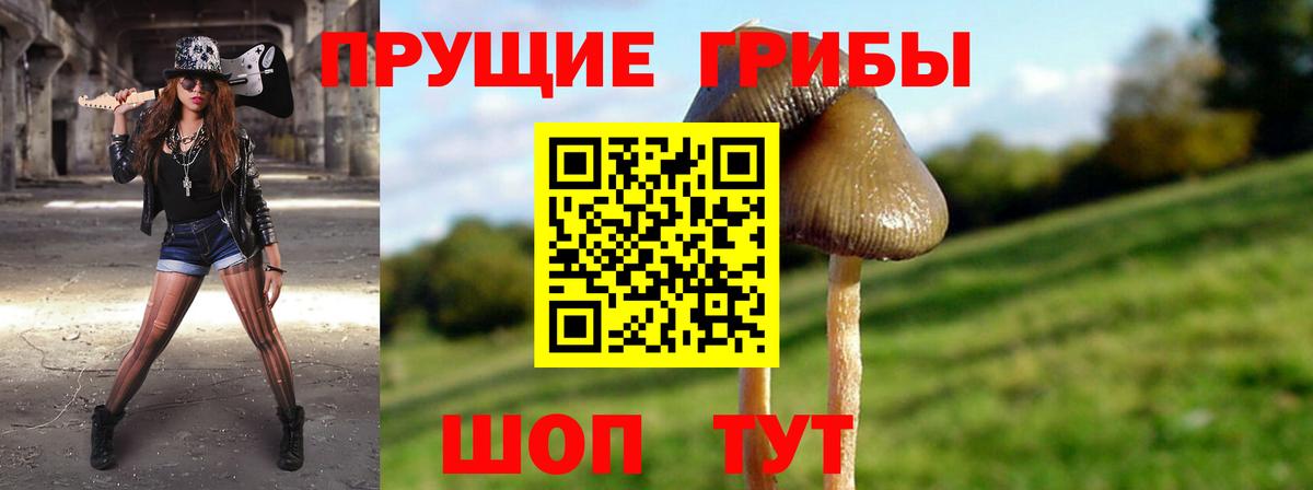 Галлюциногенные грибы ЛСД Волоколамск